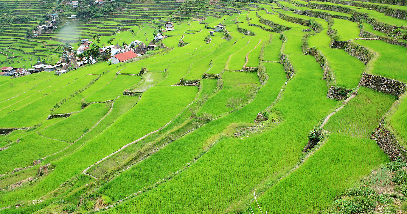 Batad Rice Terraces, Banaue, Ifugao province
