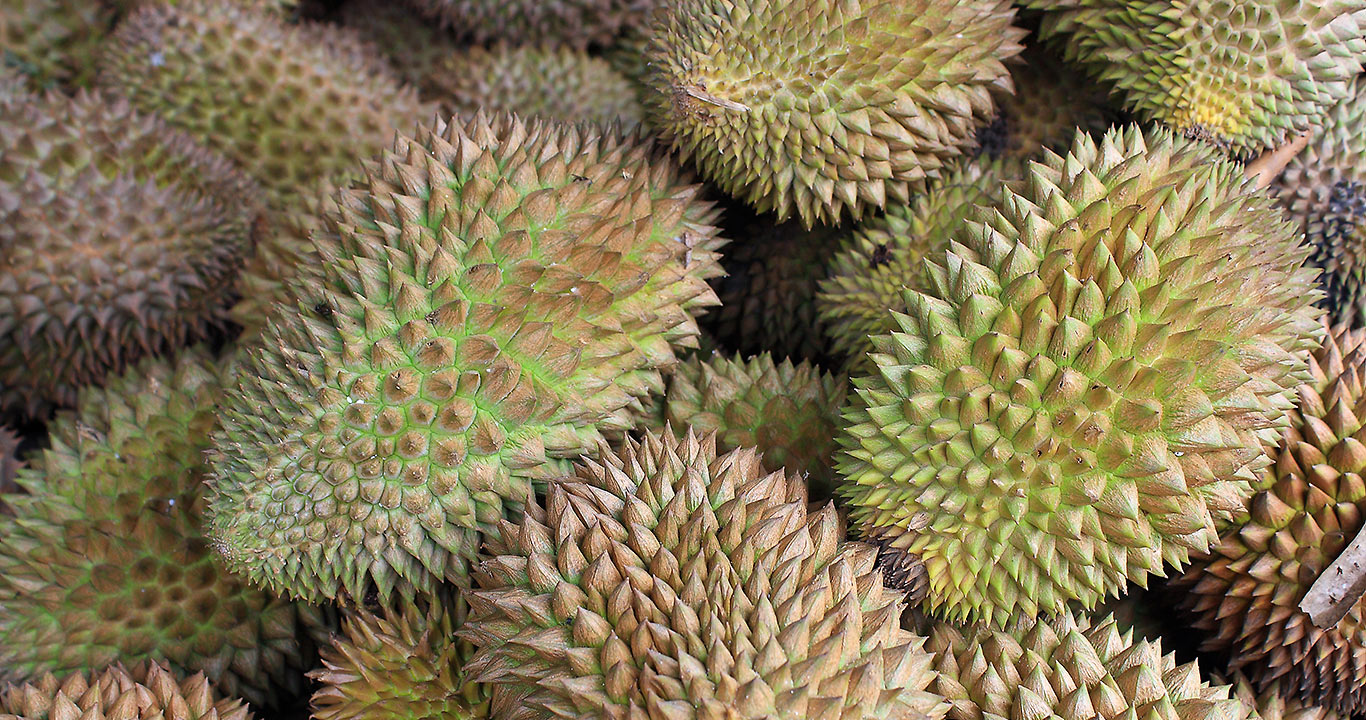 durian fruits at a stall in Davao City