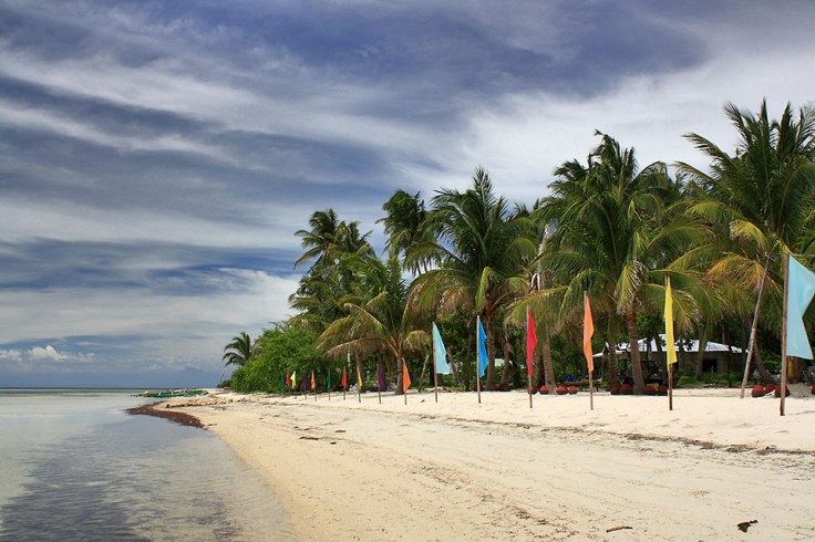 resort among the coconut palms, Tondol Beach