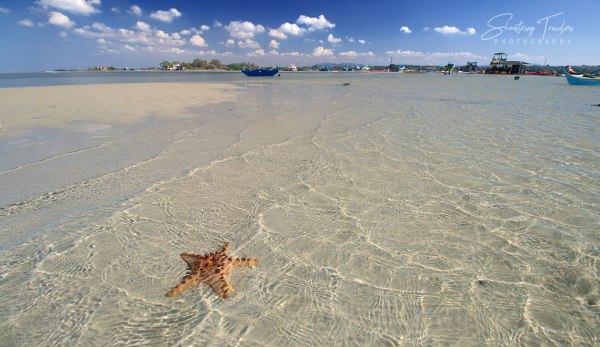 Starfish Sandbar, Calatagan, Batangas
