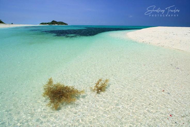 sea grass and blue waters off the northern islet
